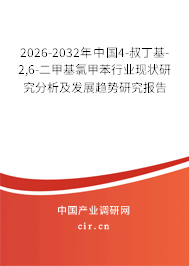 2026-2032年中國4-叔丁基-2,6-二甲基氯甲苯行業(yè)現(xiàn)狀研究分析及發(fā)展趨勢研究報告