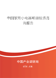 中國(guó)家用小電器項(xiàng)目投資咨詢報(bào)告