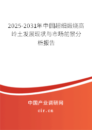 2025-2031年中國超細煅燒高嶺土發(fā)展現(xiàn)狀與市場前景分析報告