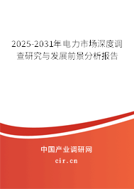 2025-2031年電力市場深度調(diào)查研究與發(fā)展前景分析報告