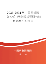 2025-2031年中國氟橡膠(FKM)行業(yè)現(xiàn)狀調(diào)研與前景趨勢分析報告 2025-2031年中國氟橡膠(FKM)行業(yè)現(xiàn)狀調(diào)研與前景趨勢分析報告