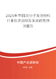 2025年中國高分子發(fā)泡材料行業(yè)現(xiàn)狀調(diào)研及發(fā)展趨勢預(yù)測報告