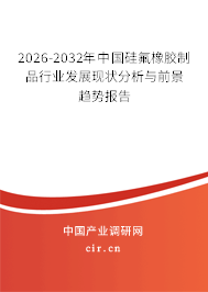 2026-2032年中國硅氟橡膠制品行業(yè)發(fā)展現(xiàn)狀分析與前景趨勢(shì)報(bào)告