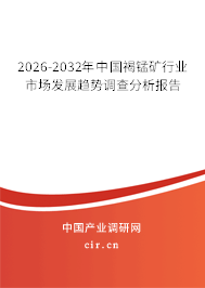 2026-2032年中國褐錳礦行業(yè)市場發(fā)展趨勢調(diào)查分析報告