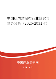 中國肌內(nèi)效貼布行業(yè)研究與趨勢分析（2025-2031年）
