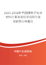 2025-2031年中國鋰離子電池材料行業(yè)發(fā)展現(xiàn)狀調研與發(fā)展趨勢分析報告