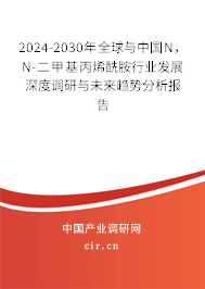 2024-2030年全球與中國N，N-二甲基丙烯酰胺行業(yè)發(fā)展深度調研與未來趨勢分析報告
