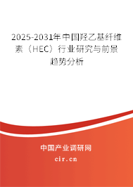 2025-2031年中國羥乙基纖維素（HEC）行業(yè)研究與前景趨勢分析