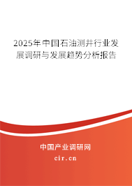 2025年中國石油測井行業(yè)發(fā)展調(diào)研與發(fā)展趨勢分析報告