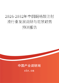 2026-2032年中國酮咯酸注射液行業(yè)發(fā)展調(diào)研與前景趨勢(shì)預(yù)測(cè)報(bào)告 2026-2032年中國酮咯酸注射液行業(yè)發(fā)展調(diào)研與前景趨勢(shì)預(yù)測(cè)報(bào)告