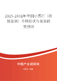 2025-2031年中國小蘇打（碳酸氫鈉）市場現(xiàn)狀與發(fā)展趨勢預(yù)測