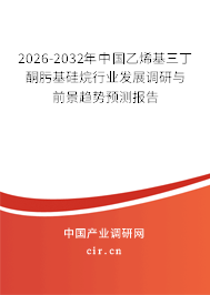 2026-2032年中國乙烯基三丁酮肟基硅烷行業(yè)發(fā)展調(diào)研與前景趨勢預(yù)測報告
