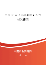 中國BC電子商務項目可行性研究報告 中國BC電子商務項目可行性研究報告