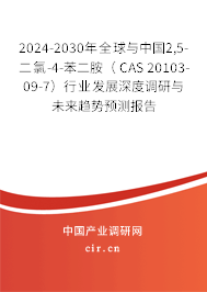 2024-2030年全球與中國2,5-二氯-4-苯二胺（ CAS 20103-09-7）行業(yè)發(fā)展深度調(diào)研與未來趨勢預(yù)測報告