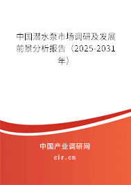 中國潛水泵市場調(diào)研及發(fā)展前景分析報告（2025-2031年）