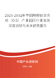 2025-2031年中國地理信息系統(tǒng)（GIS）產(chǎn)業(yè)園區(qū)行業(yè)發(fā)展深度調(diào)研與未來趨勢報告