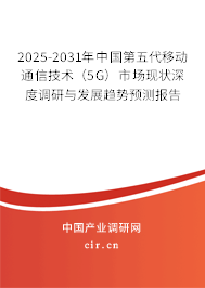 2025-2031年中國(guó)第五代移動(dòng)通信技術(shù)（5G）市場(chǎng)現(xiàn)狀深度調(diào)研與發(fā)展趨勢(shì)預(yù)測(cè)報(bào)告