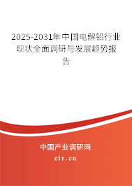 2025-2031年中國(guó)電解鉛行業(yè)現(xiàn)狀全面調(diào)研與發(fā)展趨勢(shì)報(bào)告