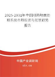 2025-2031年中國機場地面處理系統(tǒng)市場現(xiàn)狀與前景趨勢報告