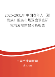 2025-2031年中國老年人（銀發(fā)族）服務市場深度調(diào)查研究與發(fā)展前景分析報告
