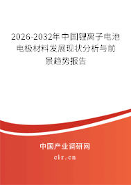 2025-2031年中國鋰離子電池電極材料發(fā)展現(xiàn)狀分析與前景趨勢報告
