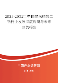 2025-2031年中國帕米膦酸二鈉行業(yè)發(fā)展深度調(diào)研與未來趨勢報告