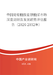 中國(guó)葡萄糖酸亞鐵糖漿市場(chǎng)深度調(diào)研及發(fā)展趨勢(shì)評(píng)估報(bào)告（2026-2032年）