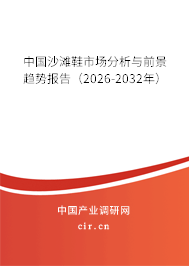 中國沙灘鞋市場分析與前景趨勢報告（2025-2031年）