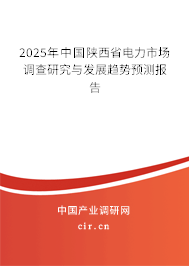 2025年中國陜西省電力市場調(diào)查研究與發(fā)展趨勢預(yù)測報告 2025年中國陜西省電力市場調(diào)查研究與發(fā)展趨勢預(yù)測報告