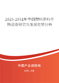 2025-2031年中國塑料原料市場調(diào)查研究與發(fā)展前景分析