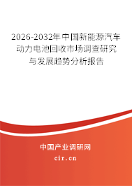 2026-2032年中國新能源汽車動力電池回收市場調(diào)查研究與發(fā)展趨勢分析報告 2026-2032年中國新能源汽車動力電池回收市場調(diào)查研究與發(fā)展趨勢分析報告