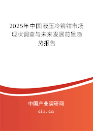 2025年中國(guó)液壓冷鉚鉗市場(chǎng)現(xiàn)狀調(diào)查與未來發(fā)展前景趨勢(shì)報(bào)告
