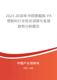 2023-2029年中國聚醯胺-PA塑膠料行業(yè)現(xiàn)狀調(diào)研與發(fā)展趨勢分析報(bào)告