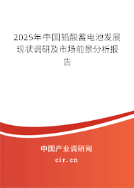 2024年中國鉛酸蓄電池發(fā)展現(xiàn)狀調(diào)研及市場前景分析報(bào)告