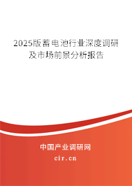 2025版蓄電池行業(yè)深度調(diào)研及市場前景分析報告