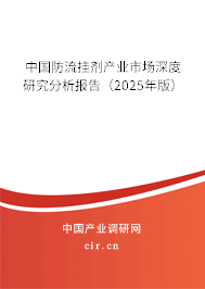 中國防流掛劑產(chǎn)業(yè)市場深度研究分析報告（2025年版）