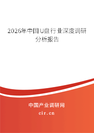 2025年中國U盤行業(yè)深度調(diào)研分析報告
