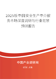 2025版中國安全生產中介服務市場深度調研與行業(yè)前景預測報告