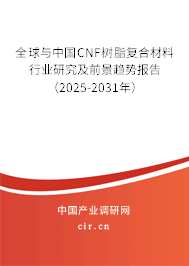 全球與中國CNF樹脂復合材料行業(yè)研究及前景趨勢報告（2025-2031年）