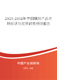 2025-2031年中國觸控產品市場現狀與前景趨勢預測報告