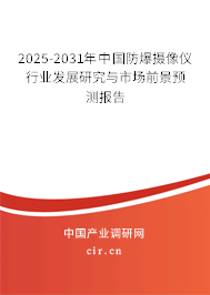 2025-2031年中國防爆攝像儀行業(yè)發(fā)展研究與市場前景預(yù)測報告