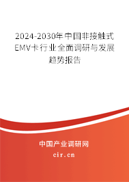 2024-2030年中國非接觸式EMV卡行業(yè)全面調(diào)研與發(fā)展趨勢(shì)報(bào)告