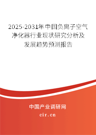 2025-2031年中國負(fù)離子空氣凈化器行業(yè)現(xiàn)狀研究分析及發(fā)展趨勢預(yù)測報(bào)告