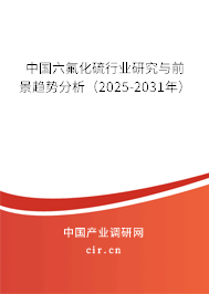 中國六氟化硫行業(yè)研究與前景趨勢分析(2025-2031年) 中國六氟化硫行業(yè)研究與前景趨勢分析(2025-2031年)