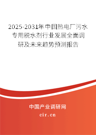 2025-2031年中國熱電廠污水專用脫水劑行業(yè)發(fā)展全面調(diào)研及未來趨勢預測報告 2025-2031年中國熱電廠污水專用脫水劑行業(yè)發(fā)展全面調(diào)研及未來趨勢預測報告