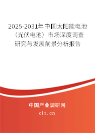 2025-2031年中國太陽能電池(光伏電池)市場深度調(diào)查研究與發(fā)展前景分析報告 2025-2031年中國太陽能電池(光伏電池)市場深度調(diào)查研究與發(fā)展前景分析報告