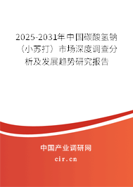 2025-2031年中國碳酸氫鈉（小蘇打）市場深度調(diào)查分析及發(fā)展趨勢研究報告