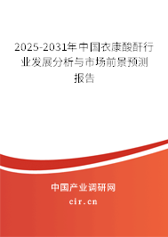 2025-2031年中國衣康酸酐行業(yè)發(fā)展分析與市場前景預測報告