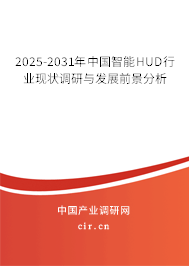 2025-2031年中國智能HUD行業(yè)現(xiàn)狀調(diào)研與發(fā)展前景分析