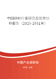 中國腸粉行業(yè)研究及前景分析報告（2025-2031年）